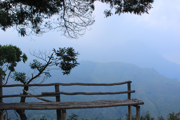 മൂന്നാറില്‍ ഒരു ദിനം